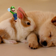 Illustration for article titled Lazy Sunday Review: Super Luigi U